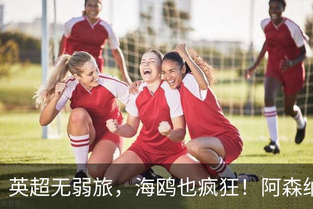 英超无弱旅，海鸥也疯狂！阿森纳3球惨败，拉亚成了远射背景板